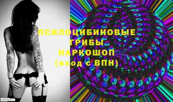 стафф Алексеевка