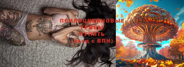 эйфоретик Алексин