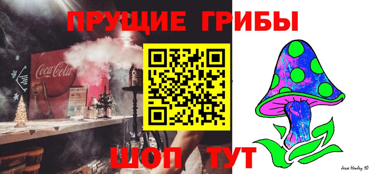 Галлюциногенные грибы Psilocybe Пенза
