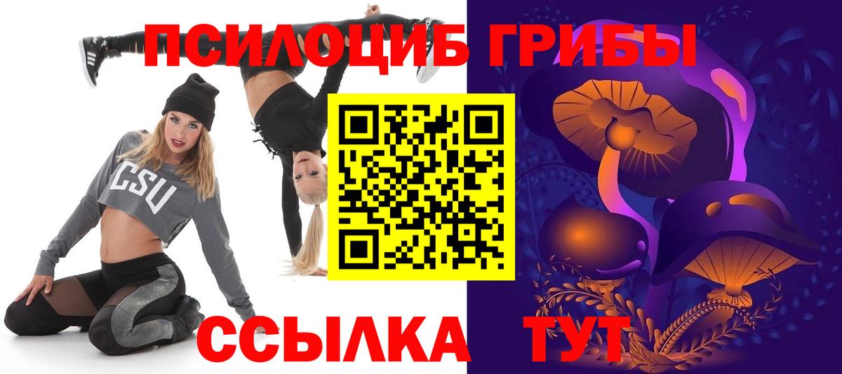 МЕФ Пенза